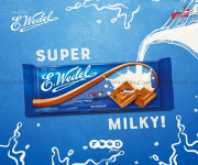 E.Wedel Milk Chocolate Bar 100gm | From Poland