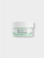 Aloe Soothing Day Cream by The Body Shop: Gentle Hydration for Skin Bliss