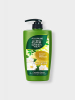 Green Tea Shampoo - Damage Repair 650 mL - Follow Me | Revive and Strengthen Your Hair with Natural Green Tea Extracts | Buy Now!