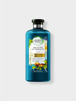 Argan Oil Shampoo - Explore the Power of Herbal Hair Care