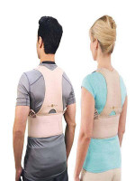 Royal Posture Back Support Belt