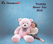 Teddy Bear for Kid