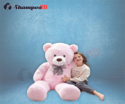 Teddy Bear for Kid