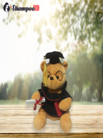 Teddy Bear Graduation Doctor