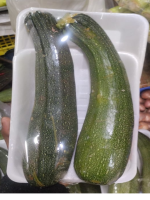 Buy Zucchini Chinese vegetable for good health